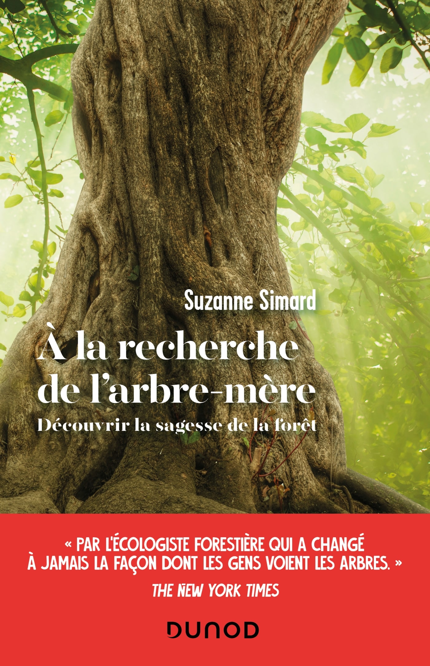 Livre "A la recherche de l'arbre-mère - Suzanne Simard"