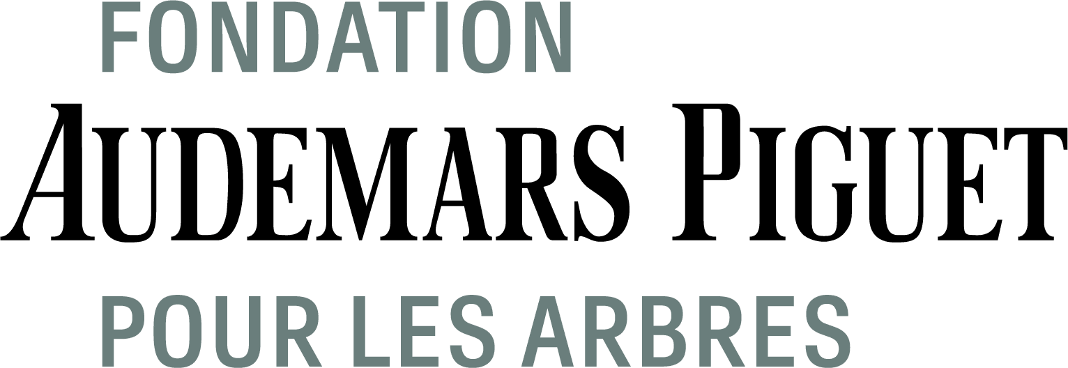 Logo de la Fondation Audemars Piguet